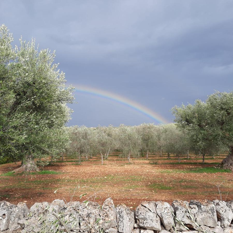 Appartamento Depéndance Polignano a Mare Esterno foto